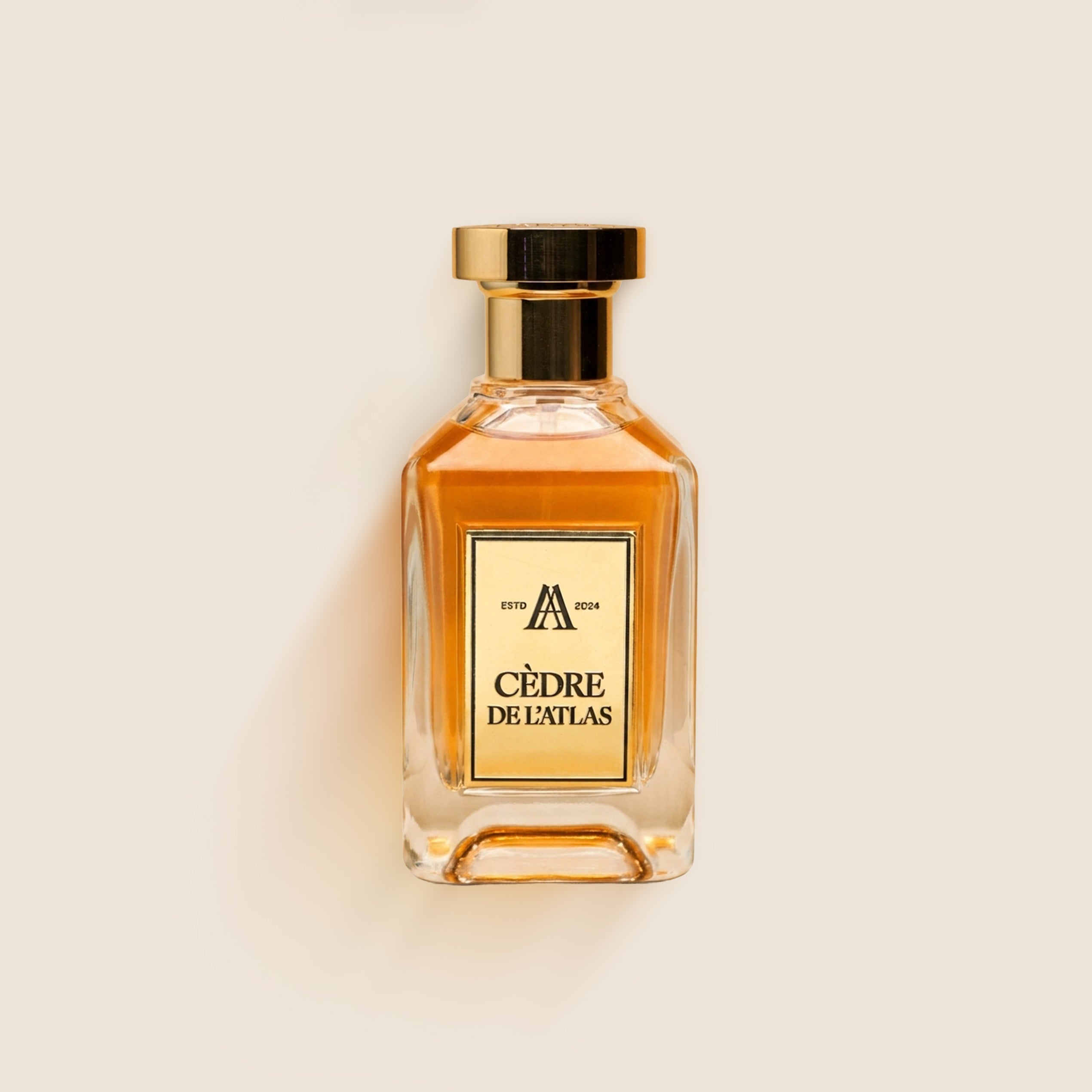 Cèdre de l’Atlas